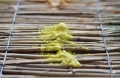Bild 2 von Lehmfarbe Zitronenfalter  / (Menge) 1,0 kg