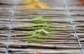 Bild 2 von Lehmfarbe Limone (Gelb-Grün) samtrau