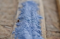 Bild 2 von Lehmfarbe Blue King samtrauh (Blau-Violett)  / (Menge) 0,25 kg